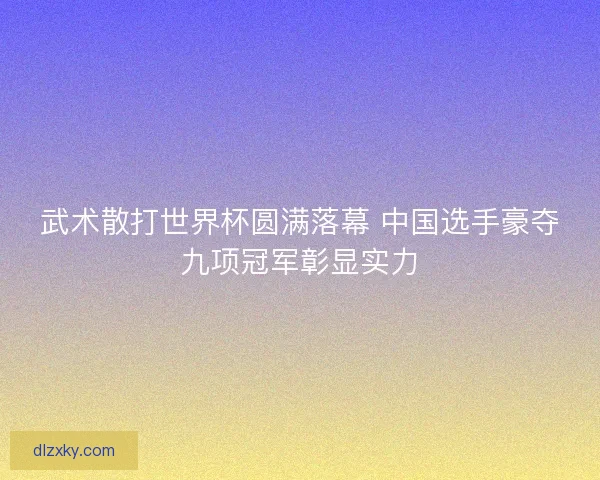 武术散打世界杯圆满落幕 中国选手豪夺九项冠军彰显实力