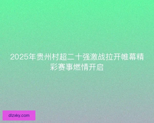 2025年贵州村超二十强激战拉开帷幕精彩赛事燃情开启